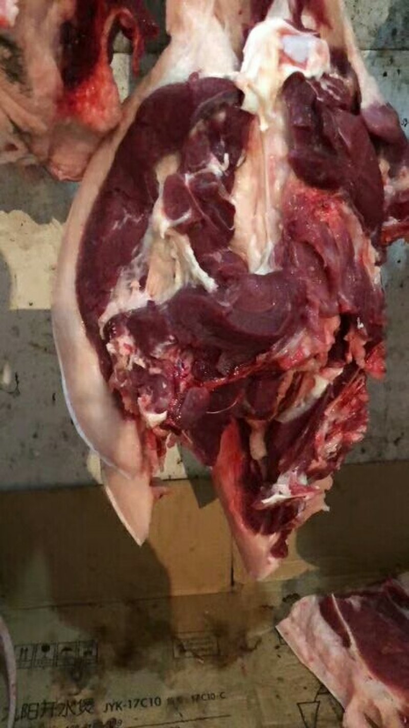 金寨农户自养黑毛猪🐷