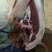 金寨农户自养黑毛猪🐷