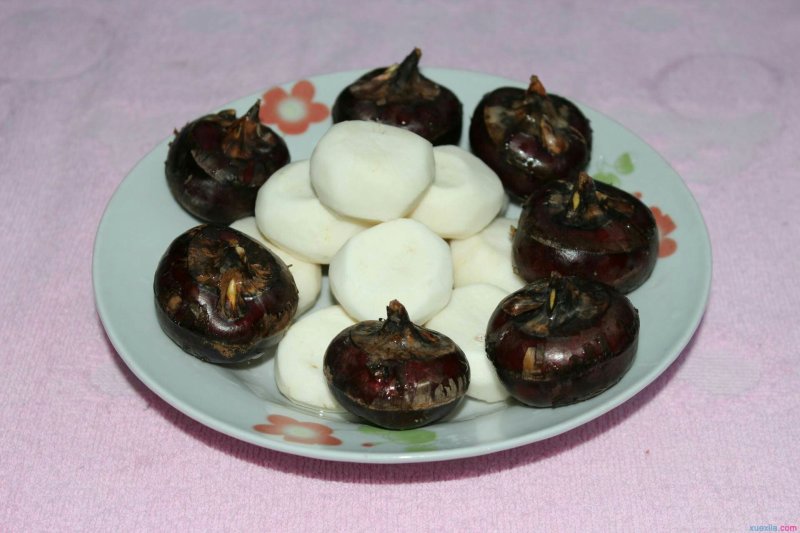 恭城马蹄