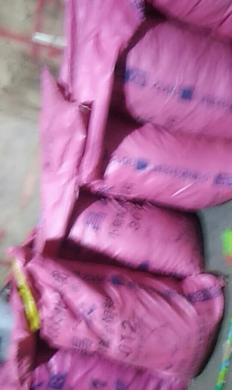 迁西板栗母乳3113栗大量现货云南。，，，，，，