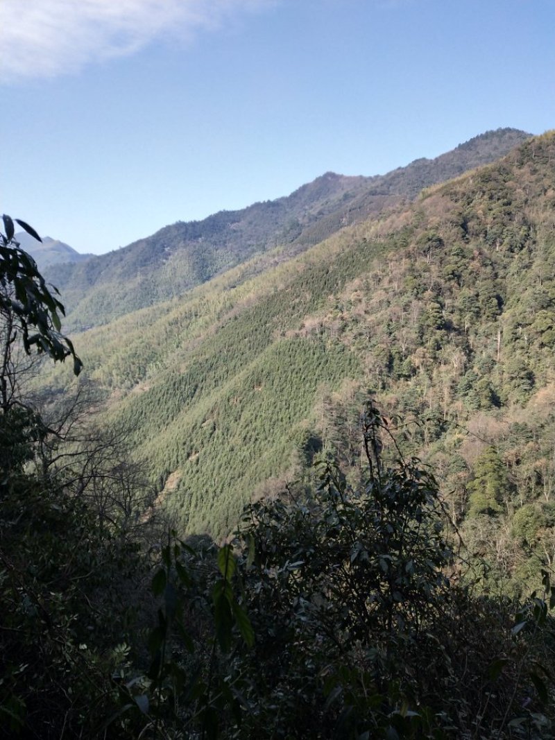 山地田地出租