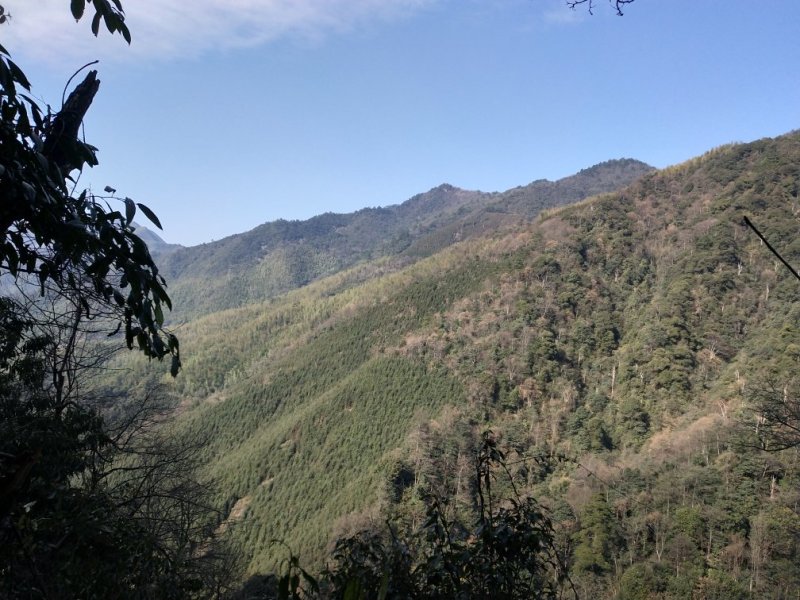 山地田地出租