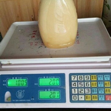 枇杷蜜