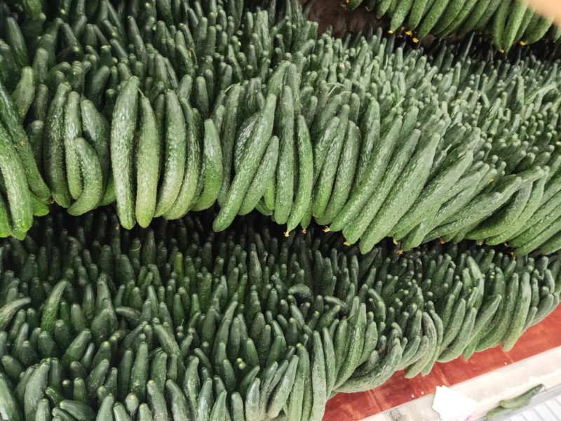 黄瓜