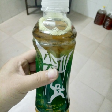 野生茶油