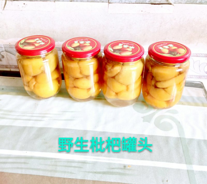 枇杷罐头