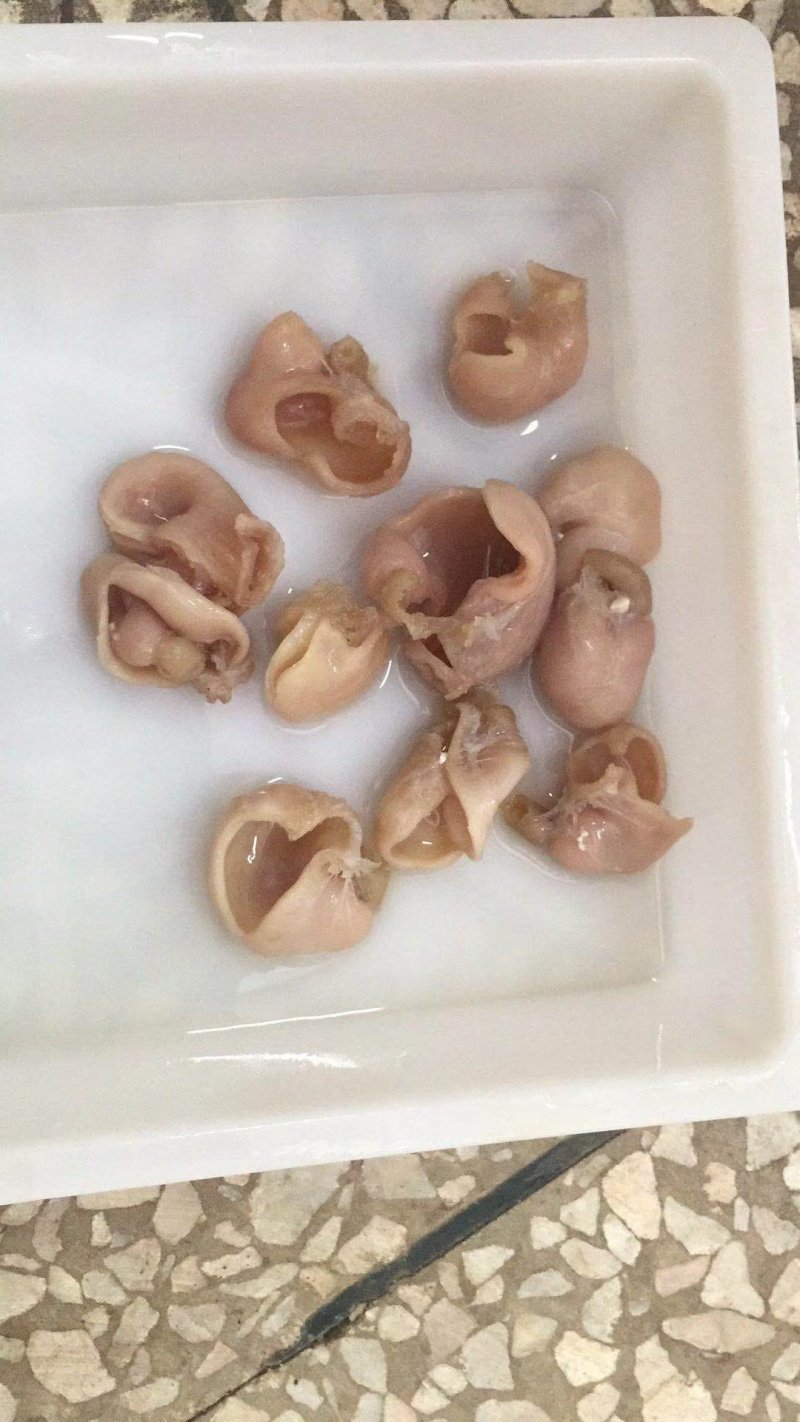 进口巴沙鱼肚