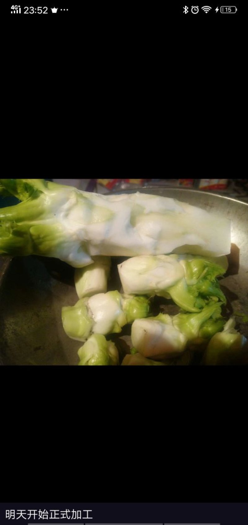 儿菜