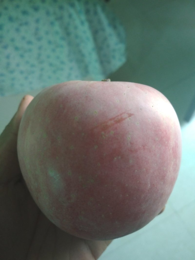礼泉红富士苹果冰糖芯