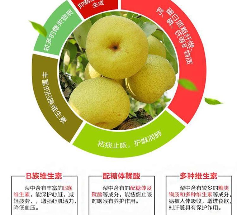 梨，安徽砀山酥梨大量出货中，欢迎新老客户前来考察采购