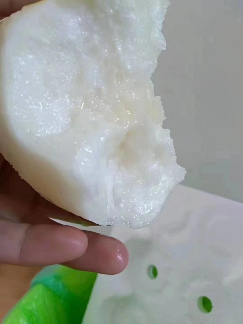 梨，安徽砀山酥梨大量出货中，欢迎新老客户前来考察采购