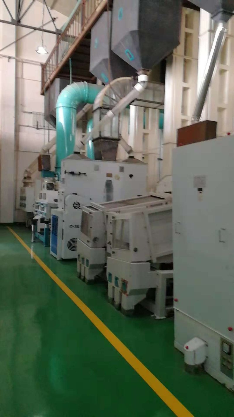 东北糯稻60000吨