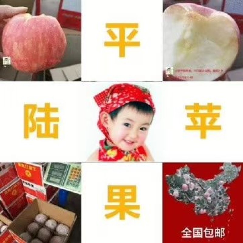 平陆县常乐红富士