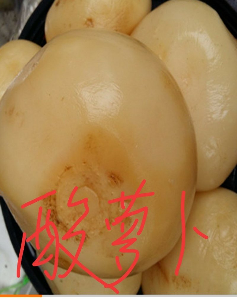 酸萝卜
