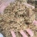 合欢花药用