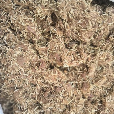 合欢花药用