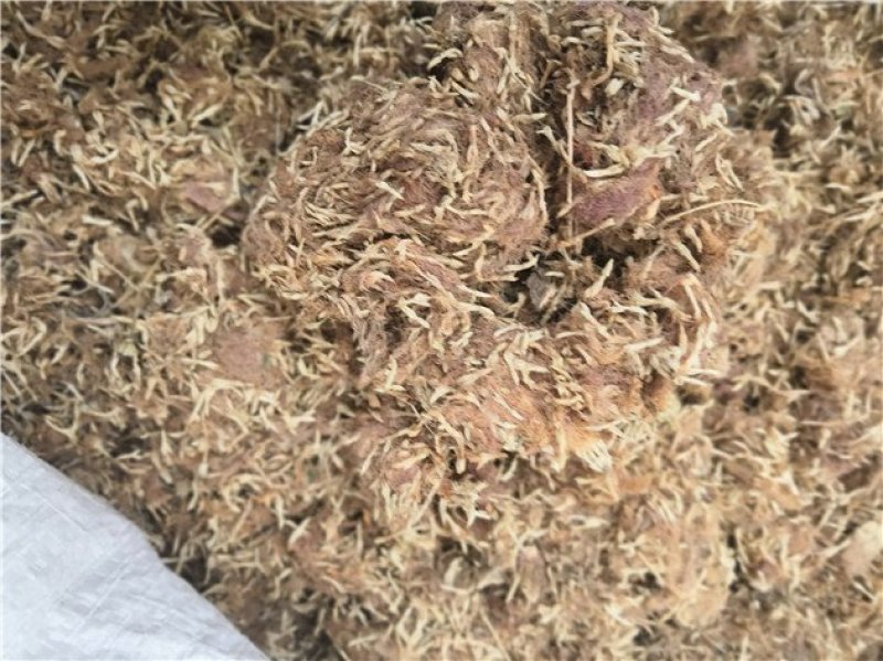 合欢花药用
