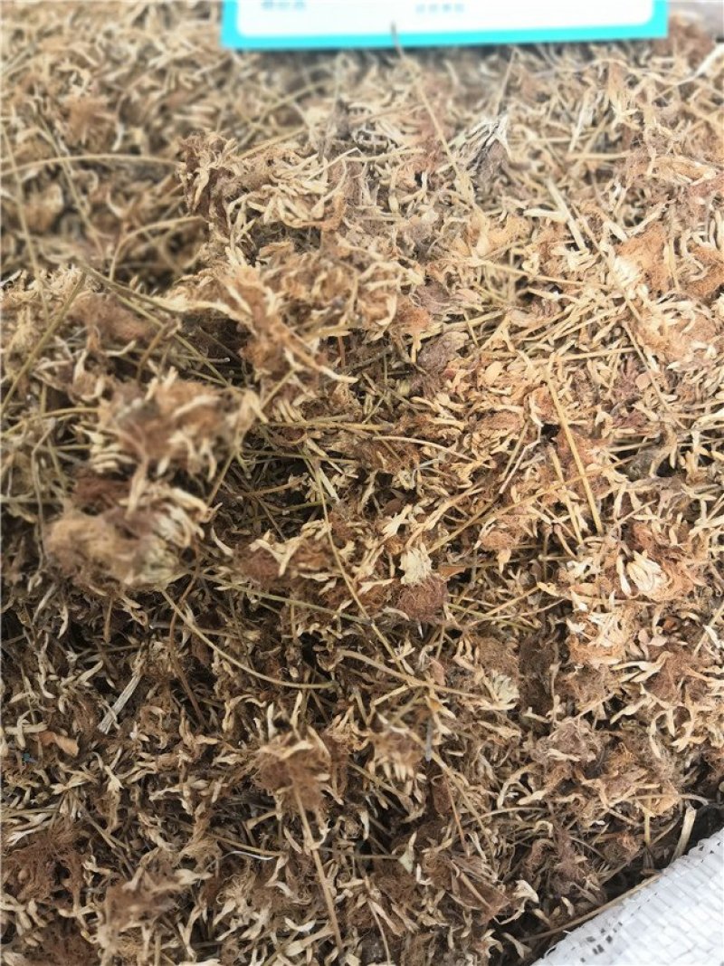 合欢花药用
