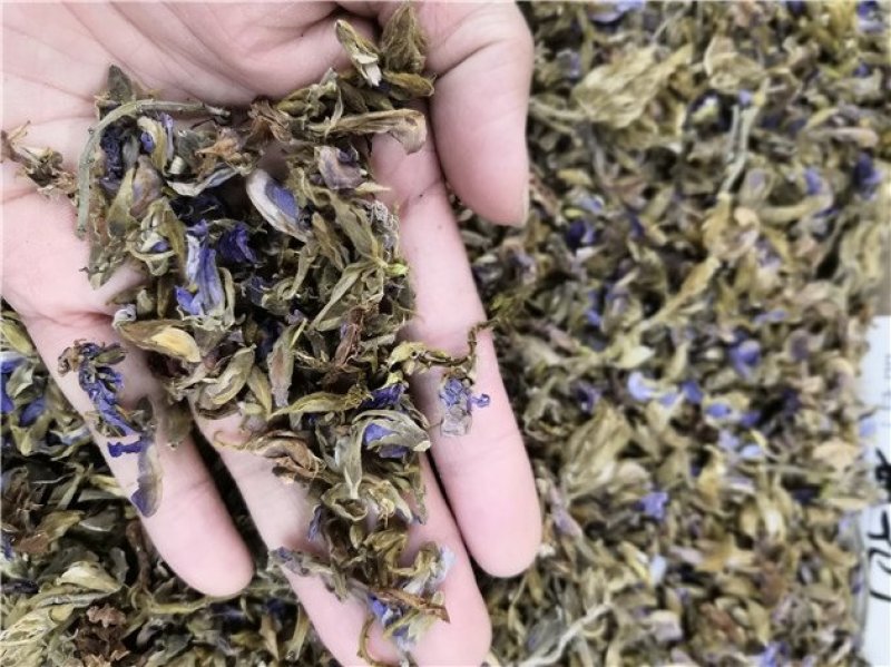 葛花茶广西