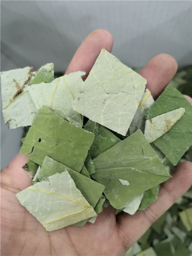 荷叶
