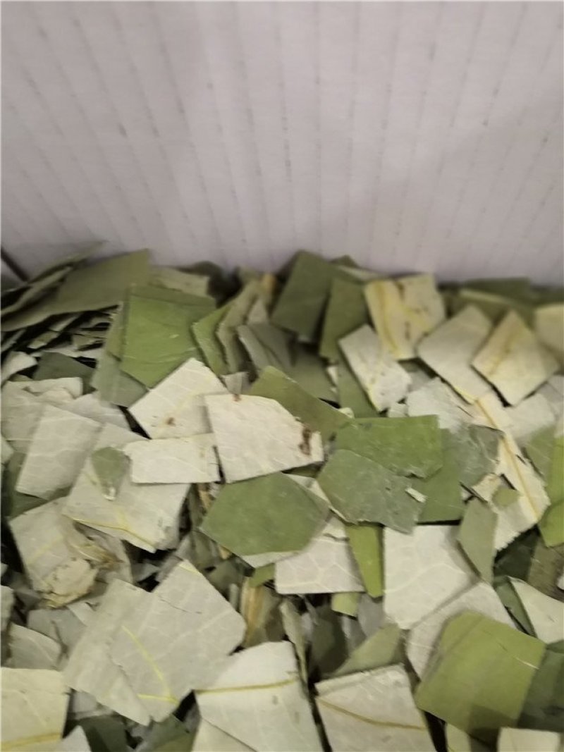 荷叶