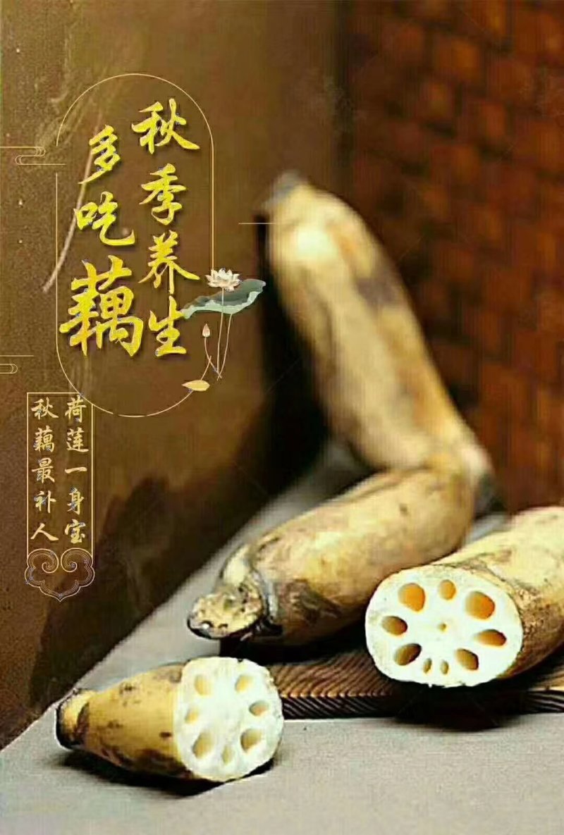 莲藕
