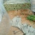 【精品】芹菜西芹山东芹菜产地直销价优品质保证价优