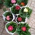 草花，小盆栽