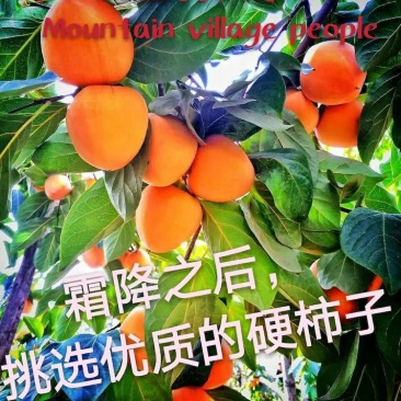 富平山村人家优质柿饼