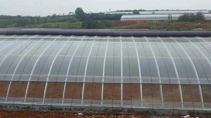 天津大棚温控机大棚温控设施厂家直销质量保证