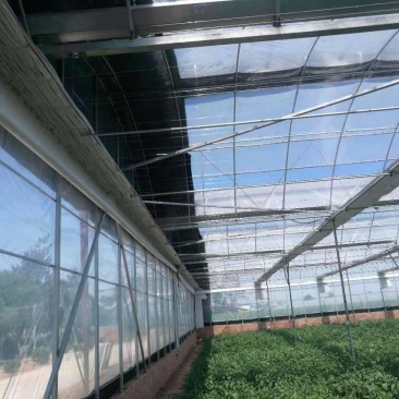 天津大棚温控机大棚温控设施厂家直销质量保证