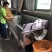 赤溪花生闽东土特产伴手礼