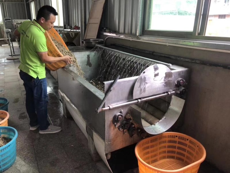 赤溪花生闽东土特产伴手礼