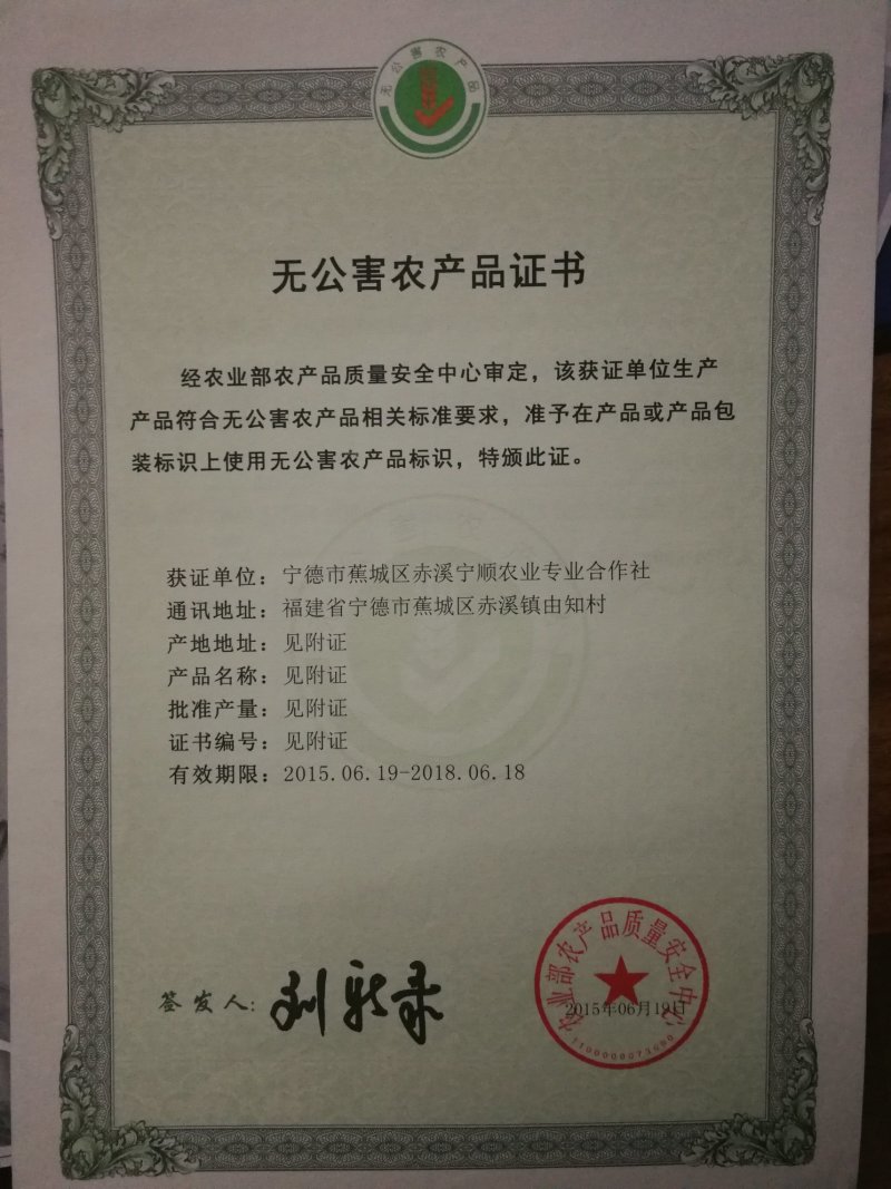 赤溪花生闽东土特产伴手礼
