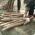 棒药3~4厘米40~50厘米一级通货