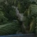 北京新三号白菜