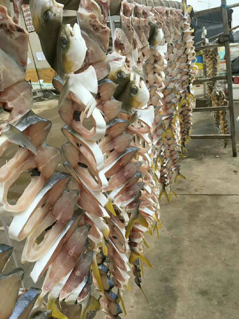 金鲳鱼