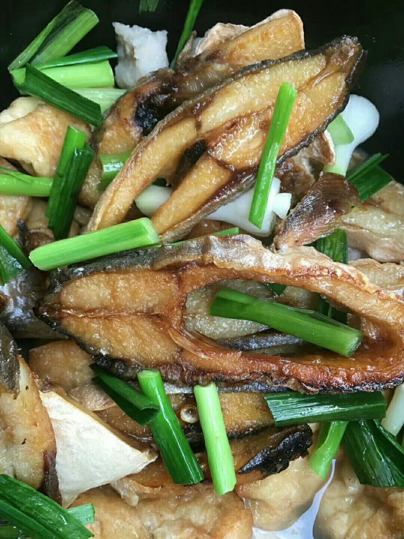 金鲳鱼