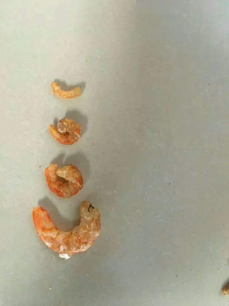 虾米