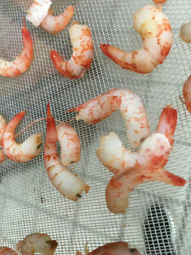 虾米
