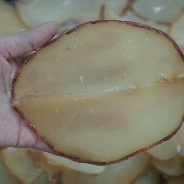 响螺片