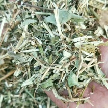 18年花生秧，