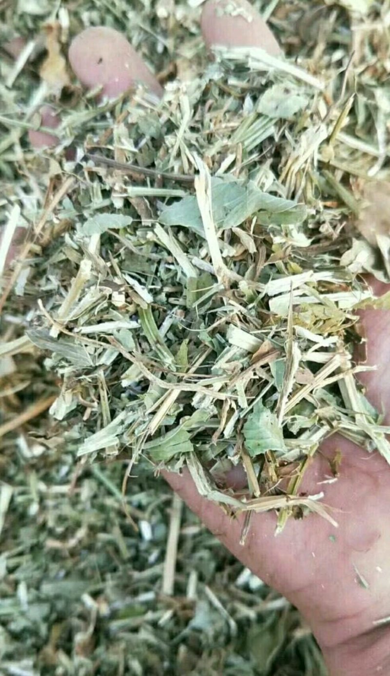 18年花生秧，