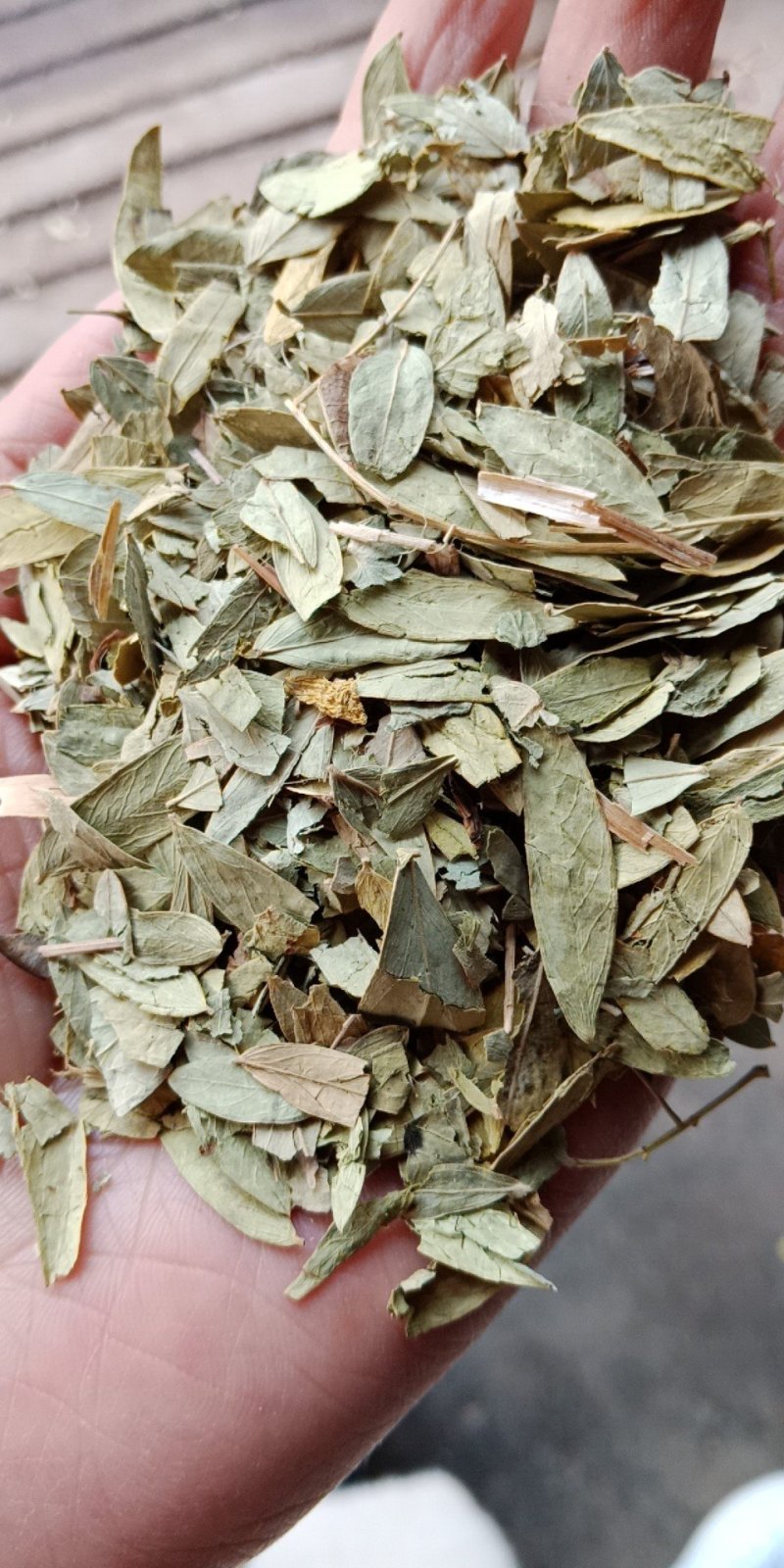 番泻叶药用泡水都可以各种中药材批发零售各种规格