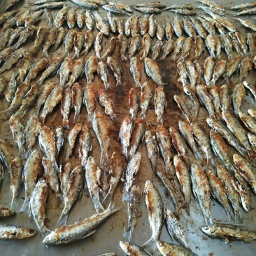 正宗浏阳火焙鱼，味道好，价格美丽