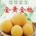 金黄金黄金脆黑桃金盘密中潘中油系列6-10月份枝条