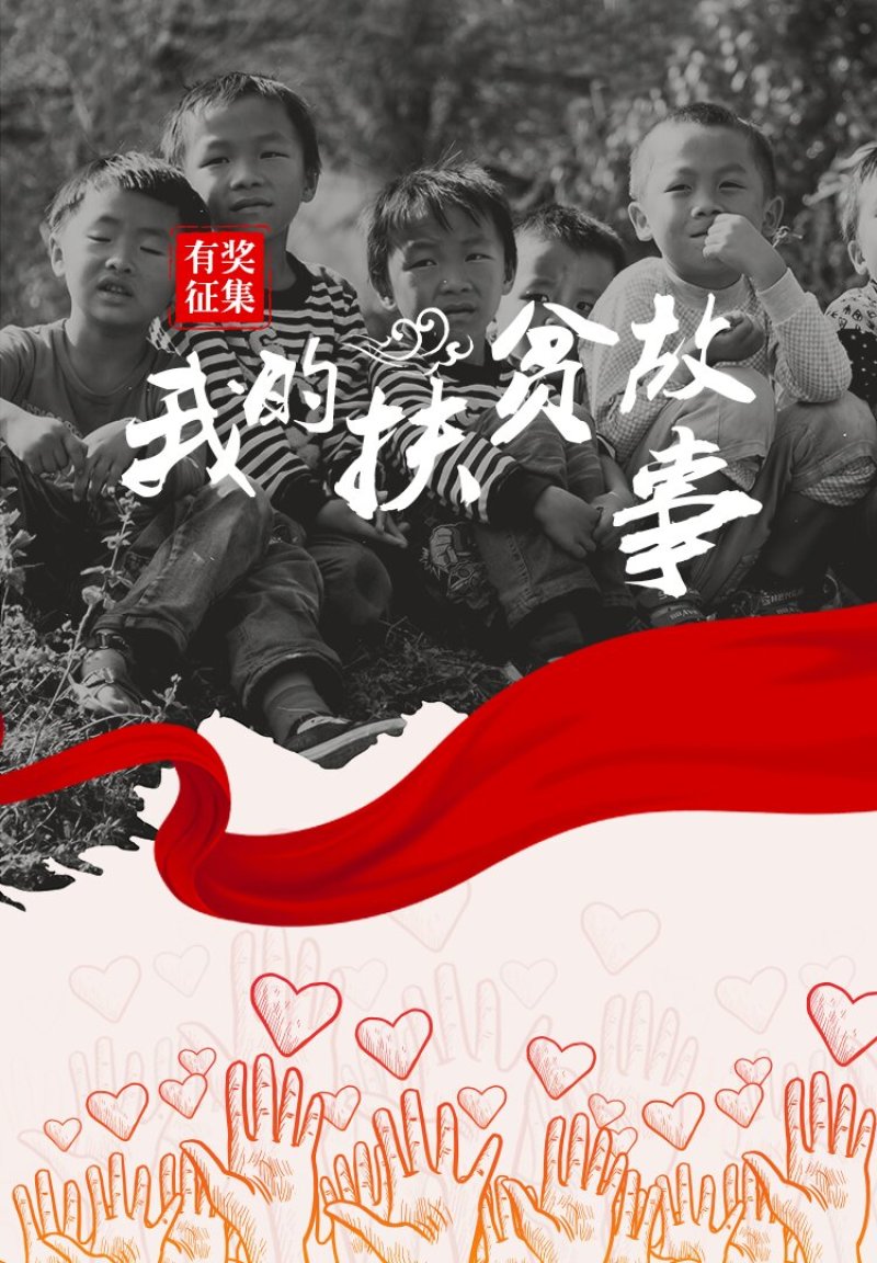 四季豆芸豆大量供应产地直销