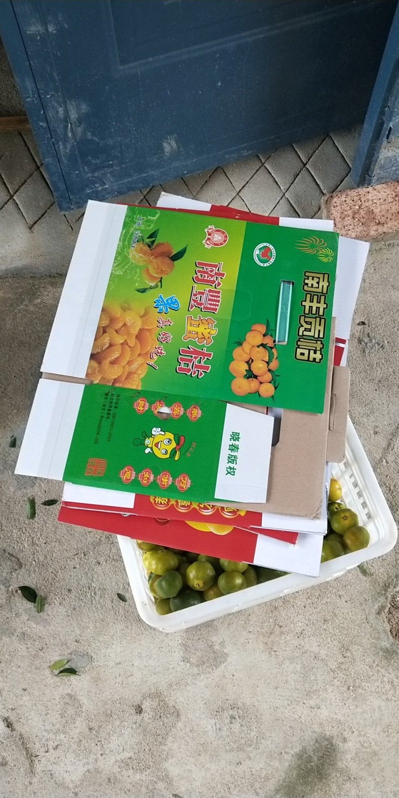 江西南丰蜜橘