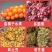 网眼袋包邮网袋子批发水果蔬菜网袋玉米洋葱土豆柚子红薯