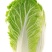 甘蓝
